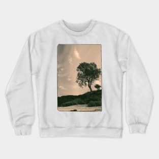 Tree Crewneck Sweatshirt